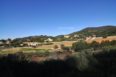 Die Finca in ihrer Umgebung.